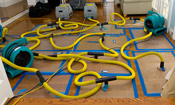Professional Basement Flood Cleanup technician working in O'Brien, OR